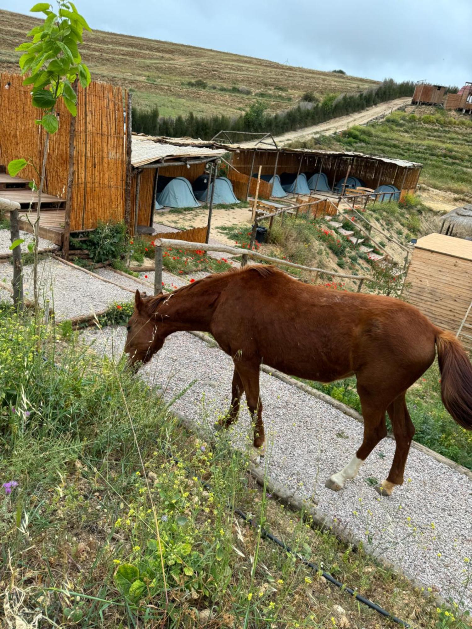 Отель Ghar El Melh Outdoors Ra's al Jabal Экстерьер фото
